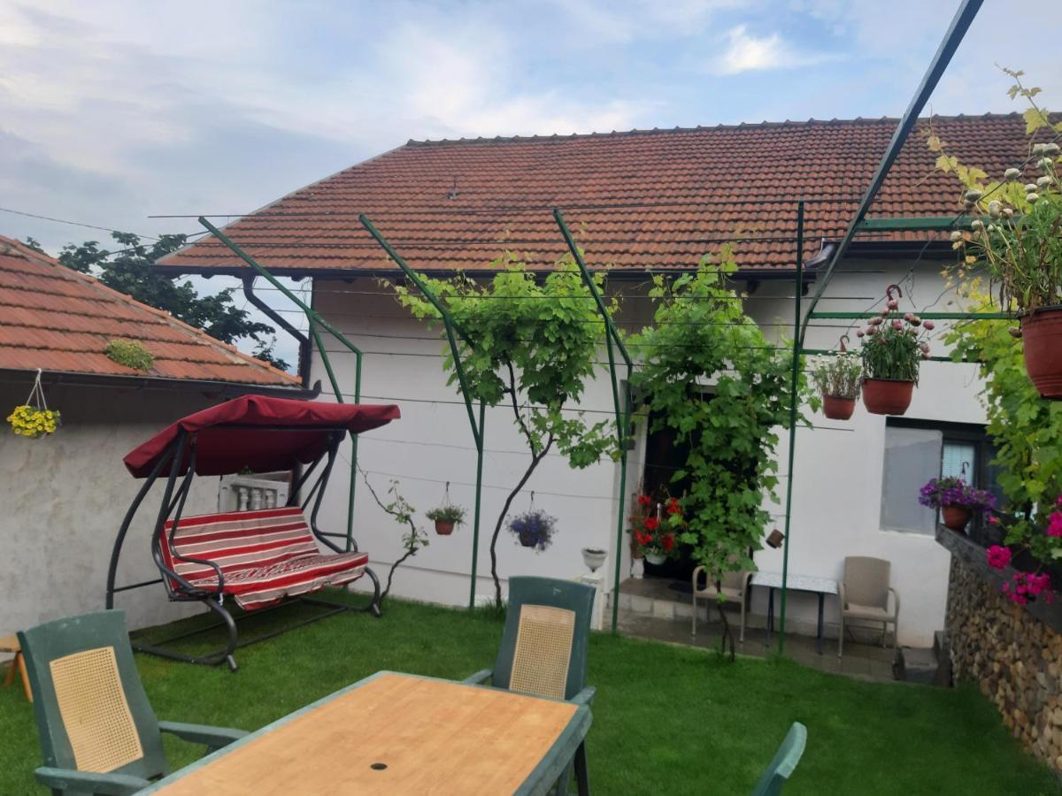 Vila Mir Pirot Eksteriør billede